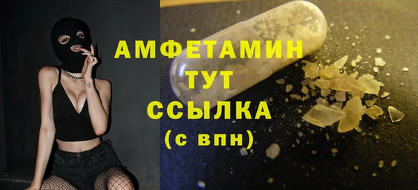 ГАЛЛЮЦИНОГЕННЫЕ ГРИБЫ Ладушкин