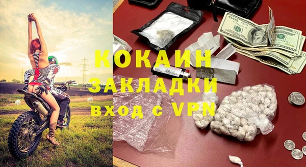 ГАЛЛЮЦИНОГЕННЫЕ ГРИБЫ Ладушкин